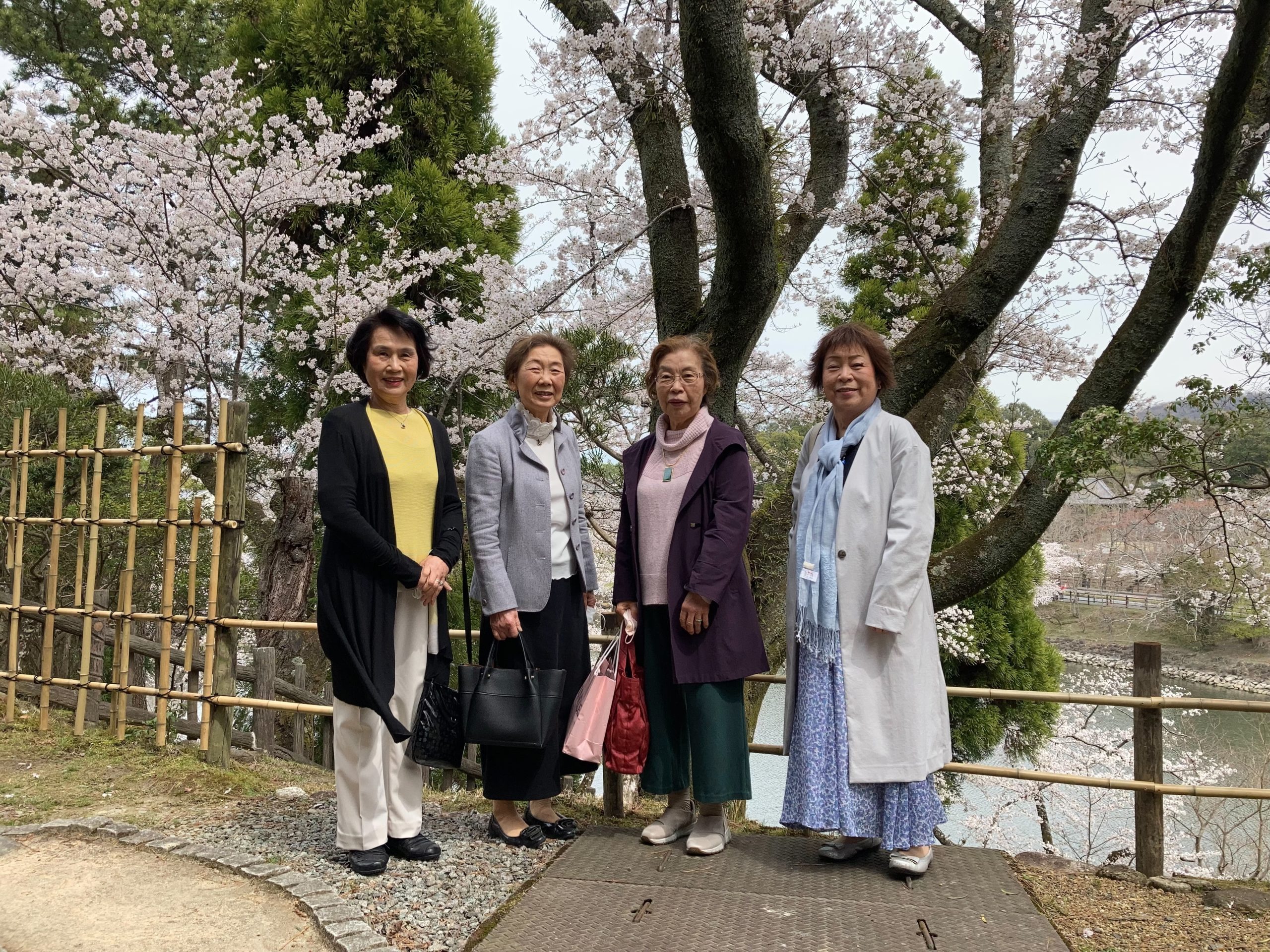 桜も笑顔も満開でした。